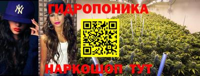эйфоретик Туймазы